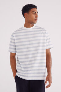 Springfield Camisola microrriscas