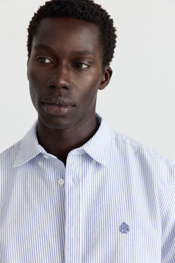 Springfield Camisa oxford &agrave;s riscas azul