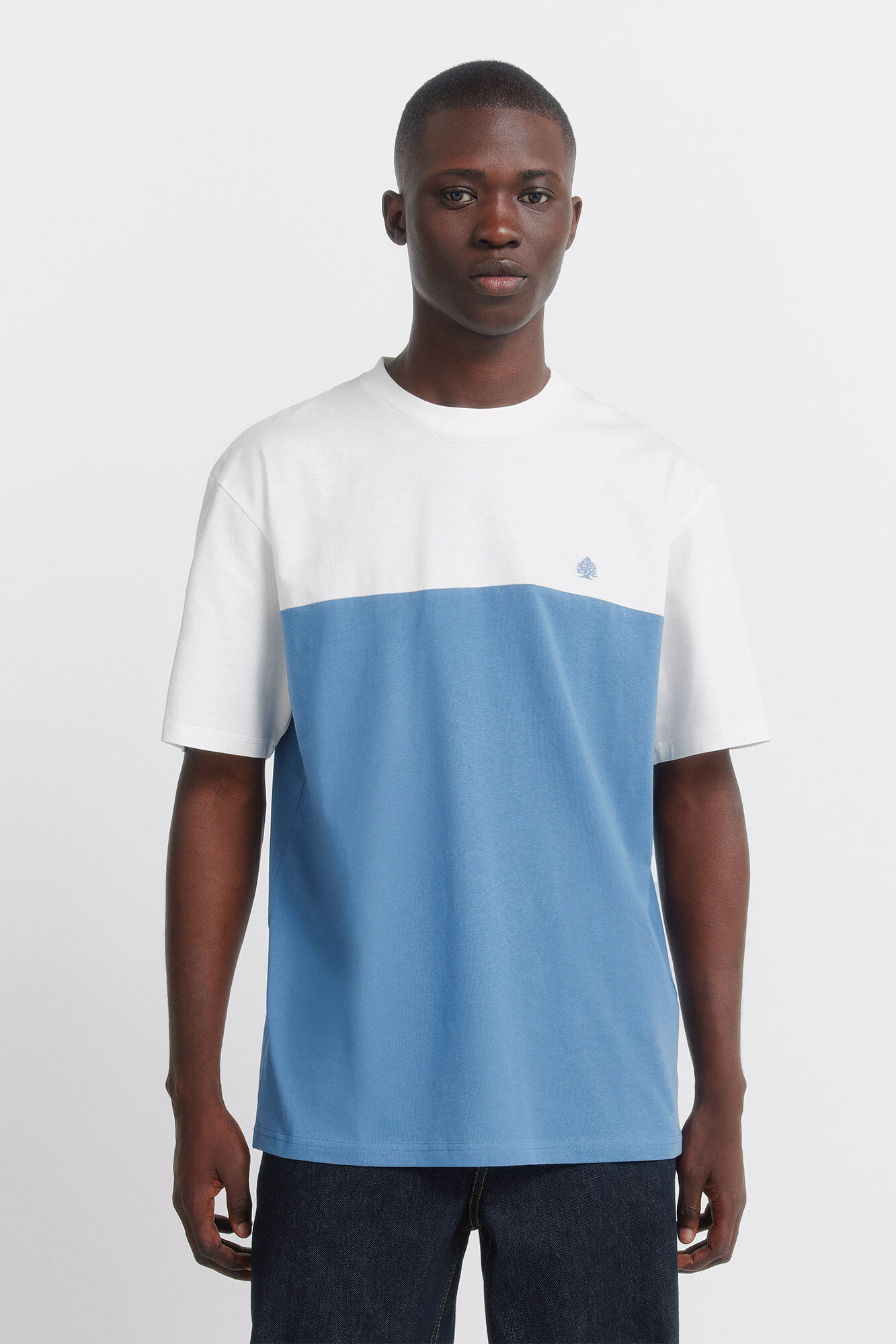 Springfield T-shirt bloco de cor