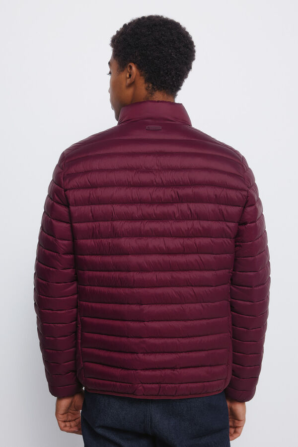Springfield Casaco acolchoada estampado