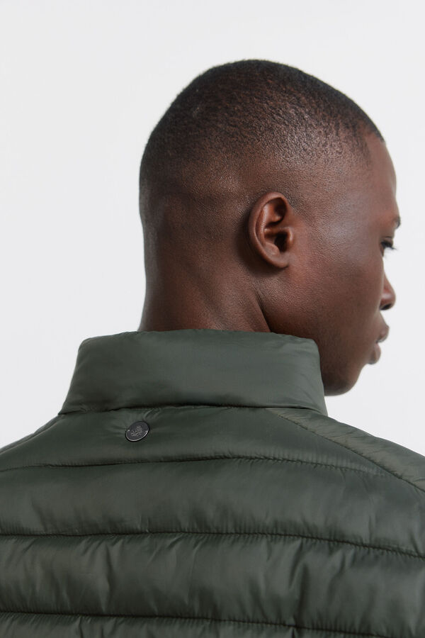 Springfield Casaco acolchoado Caqui escuro