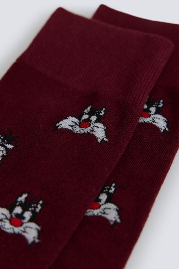 Springfield Meia comprida Silvestre Warner vermelho