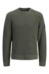 Jack & Jones PLUS Camisola de gola redonda verde