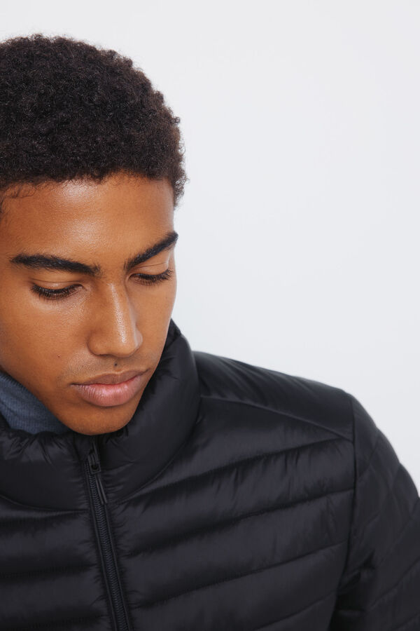 Springfield Casaco acolchoada preto