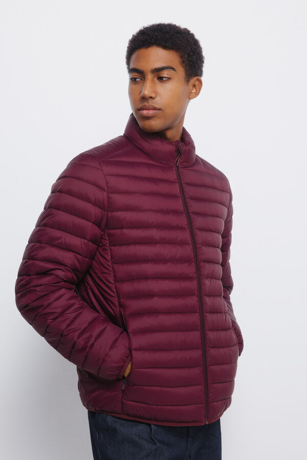 Springfield Casaco acolchoada estampado