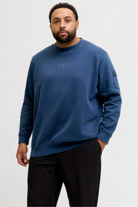 Jack & Jones PLUS Sweatshirt com capuz e logo