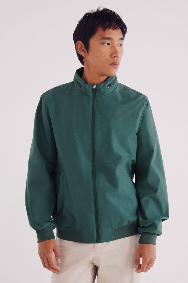 Springfield Casaco técnico verde