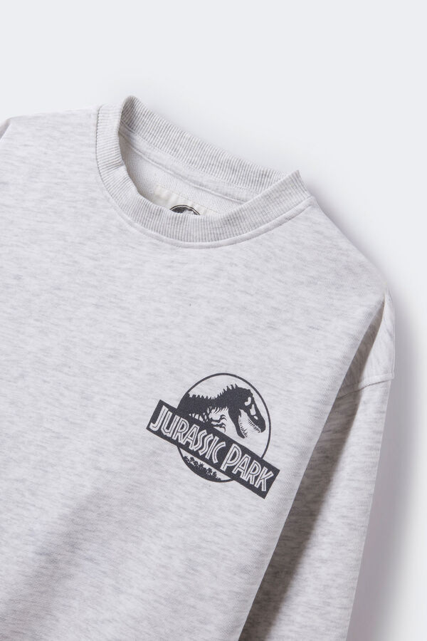 Springfield Sweatshirt Jurassic Park menino cinza