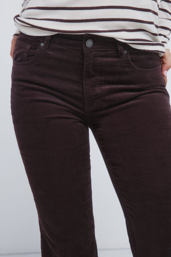 Springfield Calças de veludo cotelê com boca de sino baixa castanho