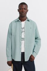 Springfield Camisa oxford vichy n&atilde;o engoma verde