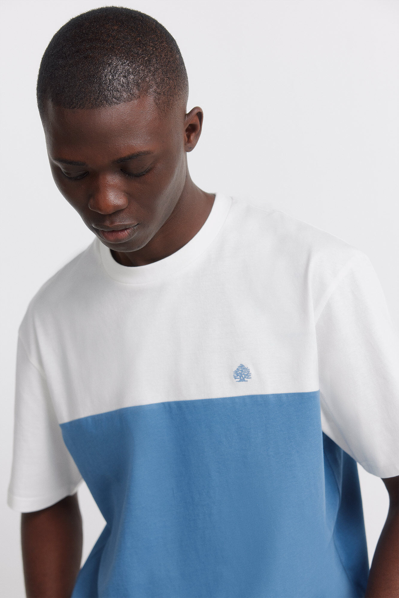 Springfield T-shirt bloco de cor