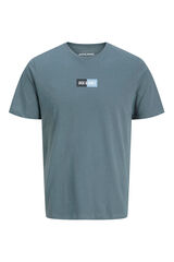 Jack & Jones PLUS Camiseta PLUS de corte regular cinzento