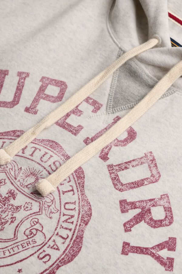 Superdry Sweatshirt com capuz e estampado gr&aacute;fico cinzento