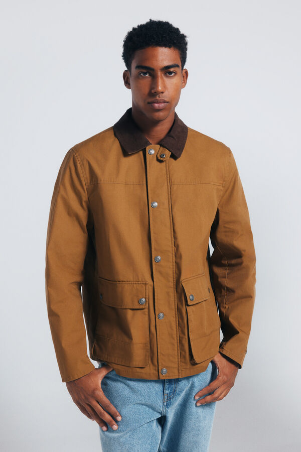 Springfield Parka curta de gola veludo estampado