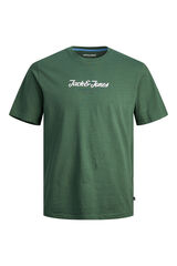 Springfield T-shirt básica Plus verde
