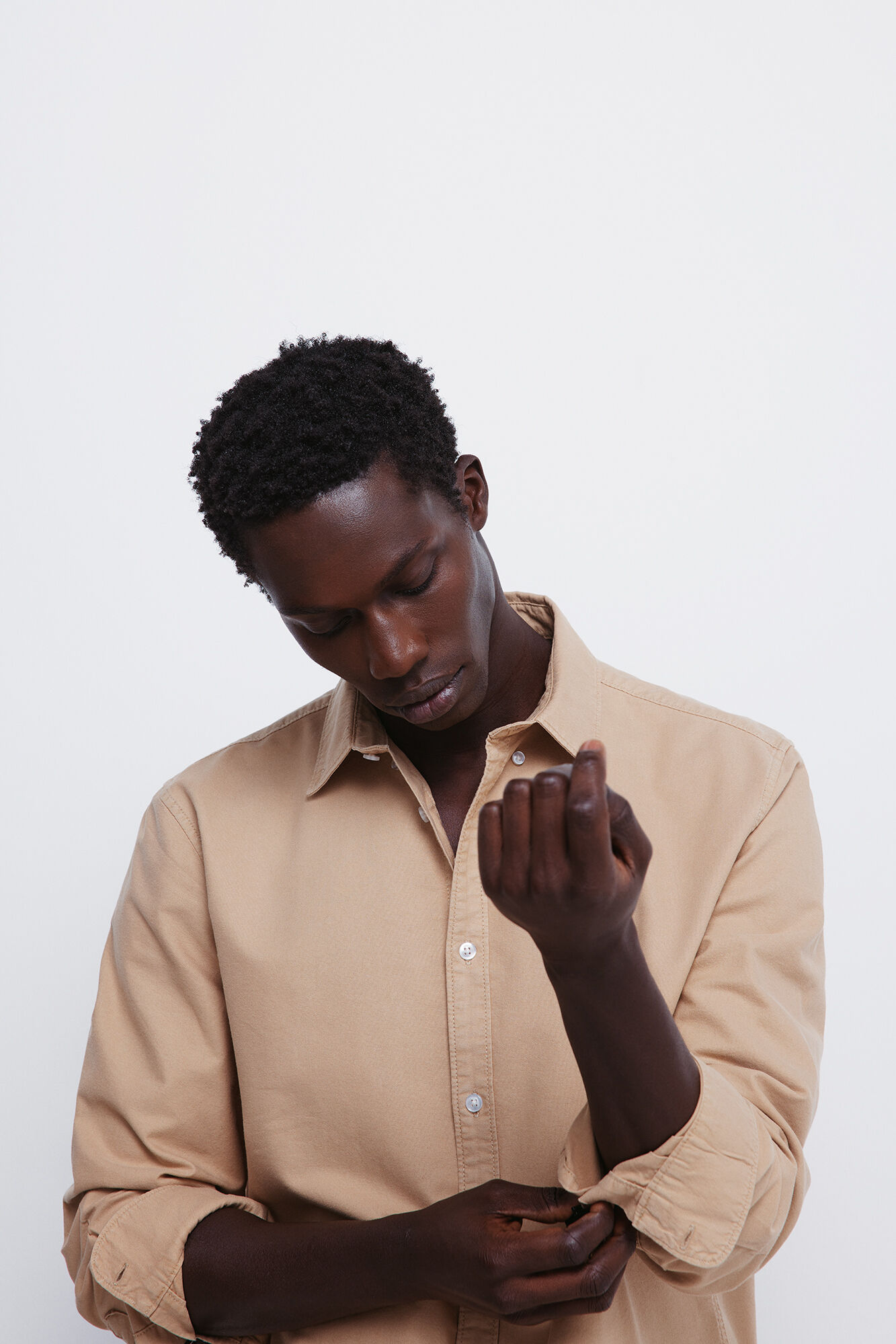 Springfield Pe&ccedil;a oxford tingida