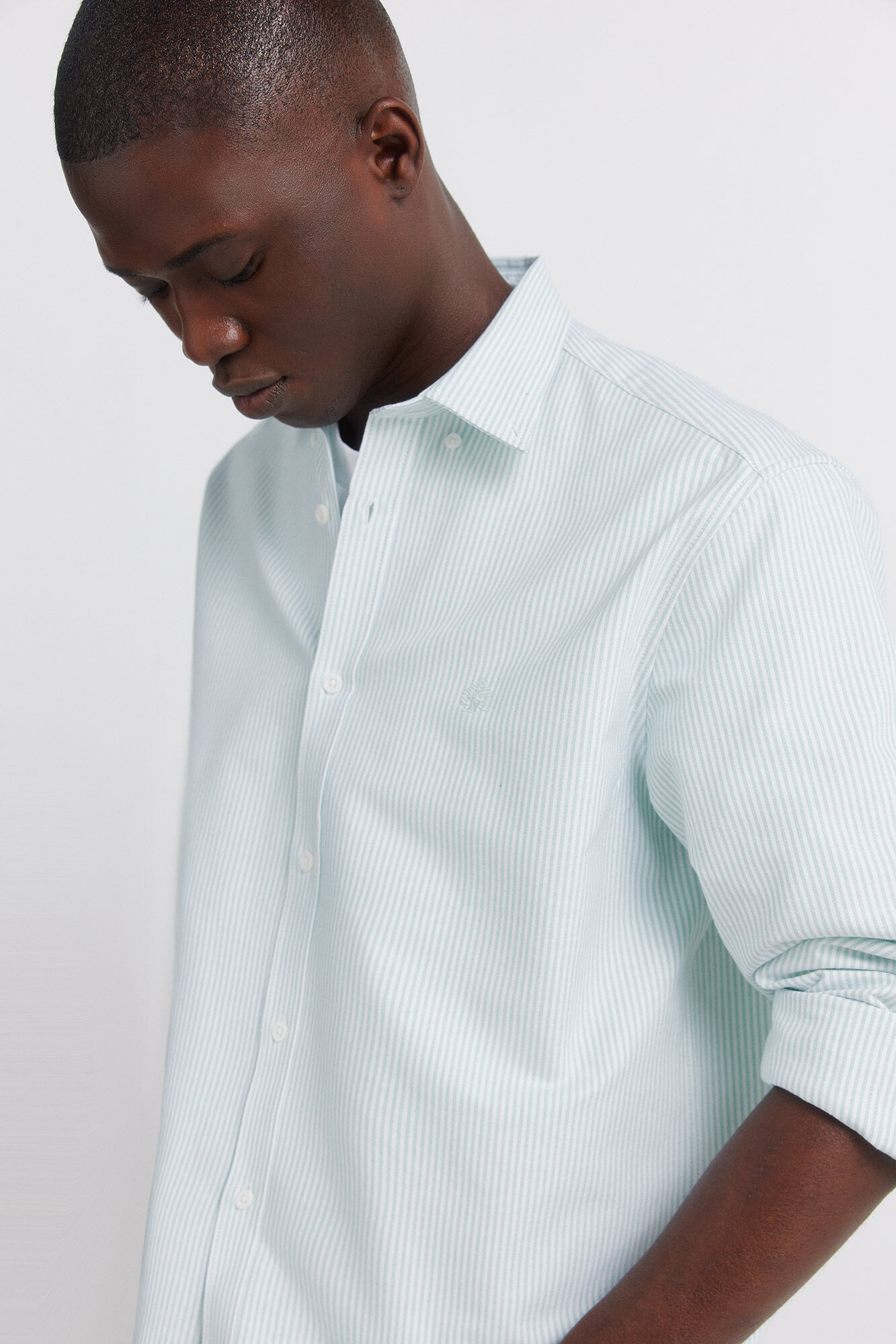 Springfield Camisa oxford &agrave;s riscas sem vincos