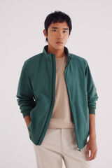Springfield Casaco técnico verde
