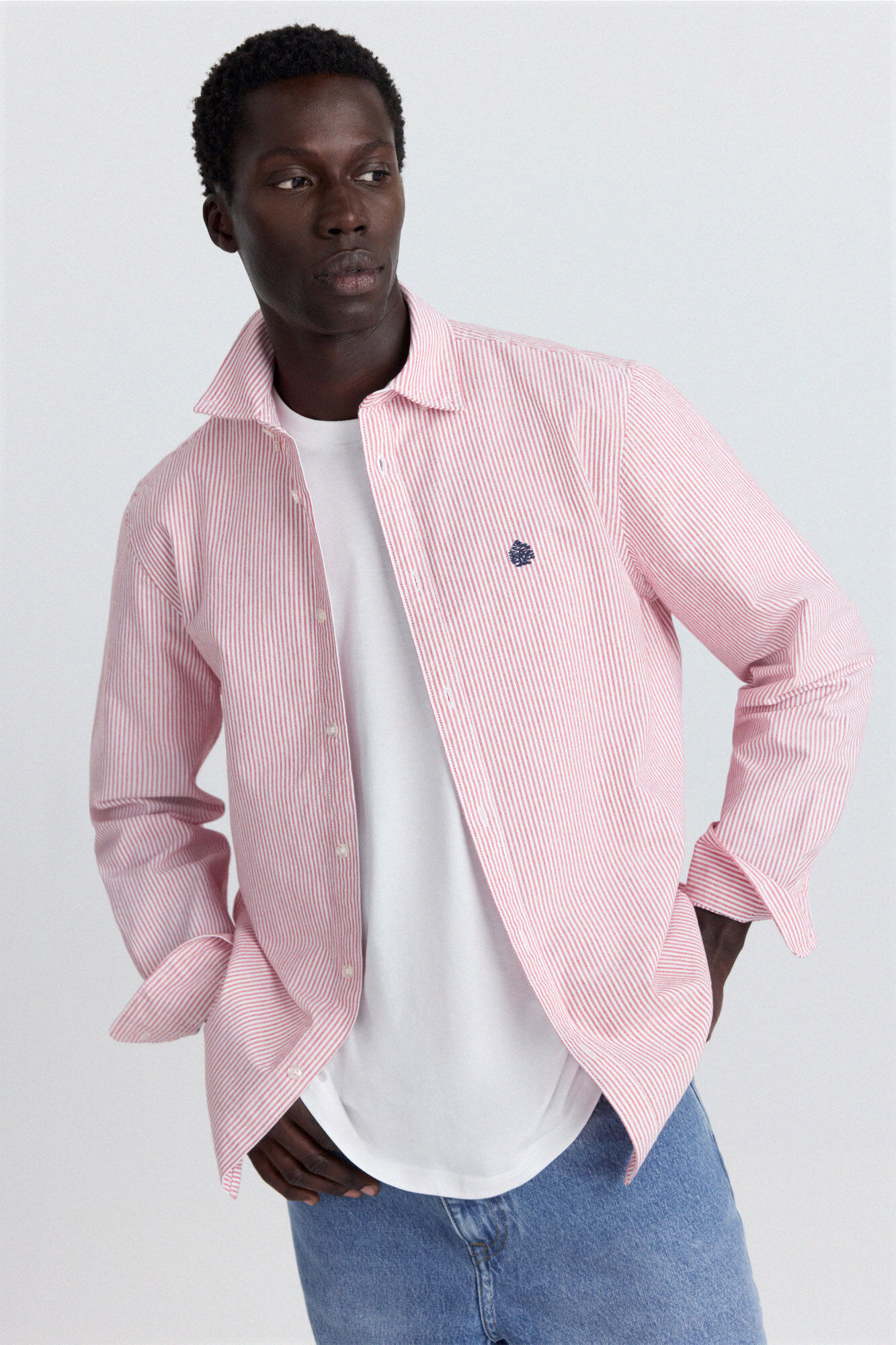 Springfield Camisa oxford &agrave;s riscas