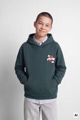 Springfield Kids Sweatshirt Japan crian&ccedil;a verde