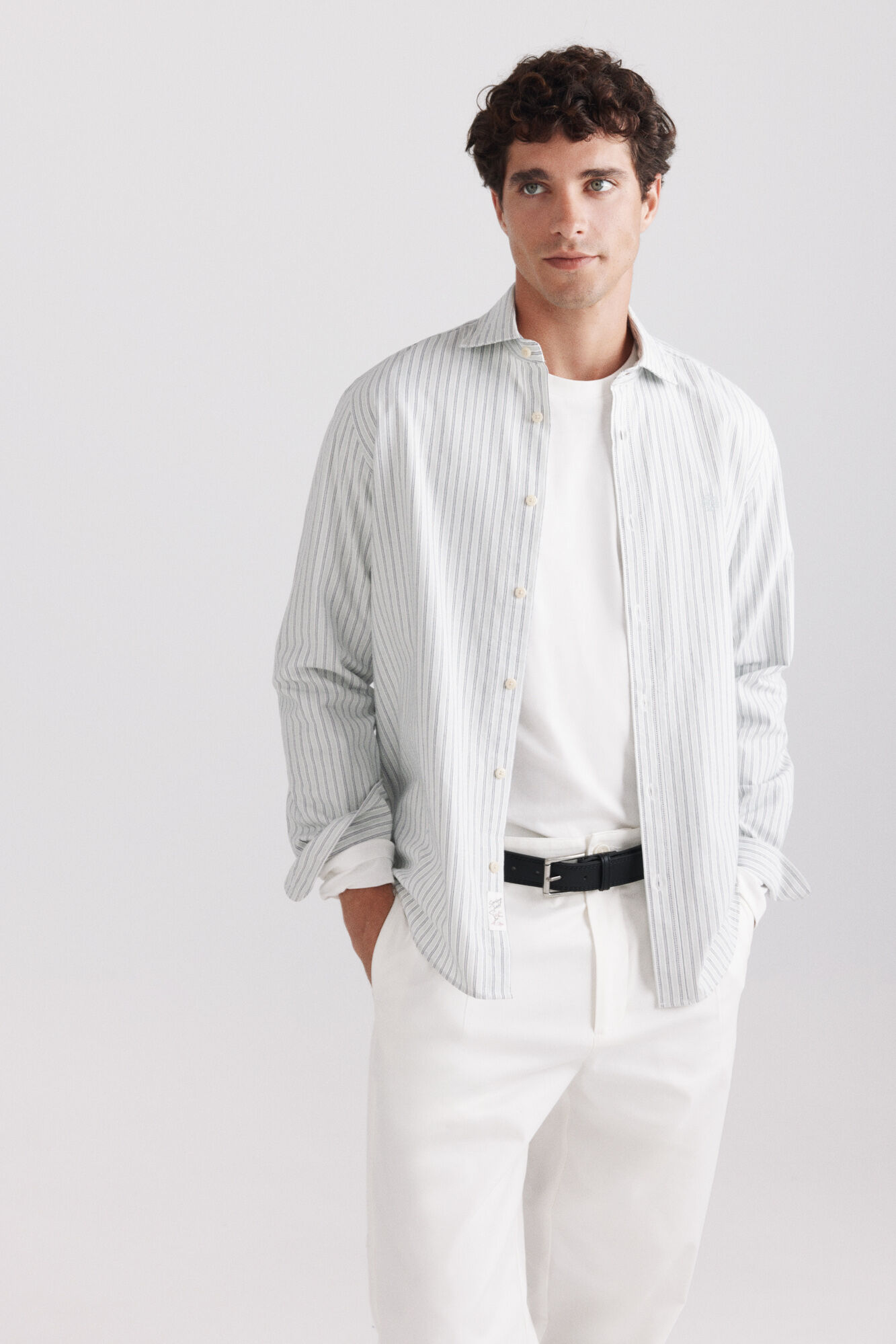 Springfield Camisa oxford &agrave;s riscas