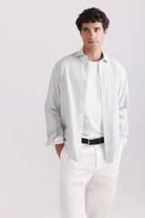 Springfield Camisa oxford &agrave;s riscas verde