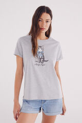 Springfield Camisola gráfica cinzento