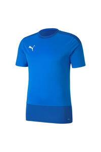Puma teamGOAL 23 Training Jersey