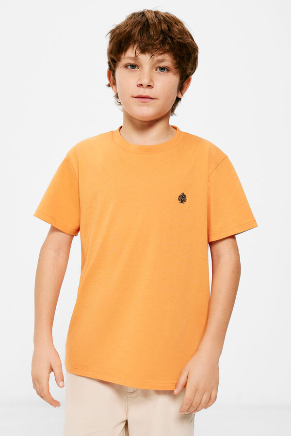 Springfield Camiseta logo Springfield niño naranja