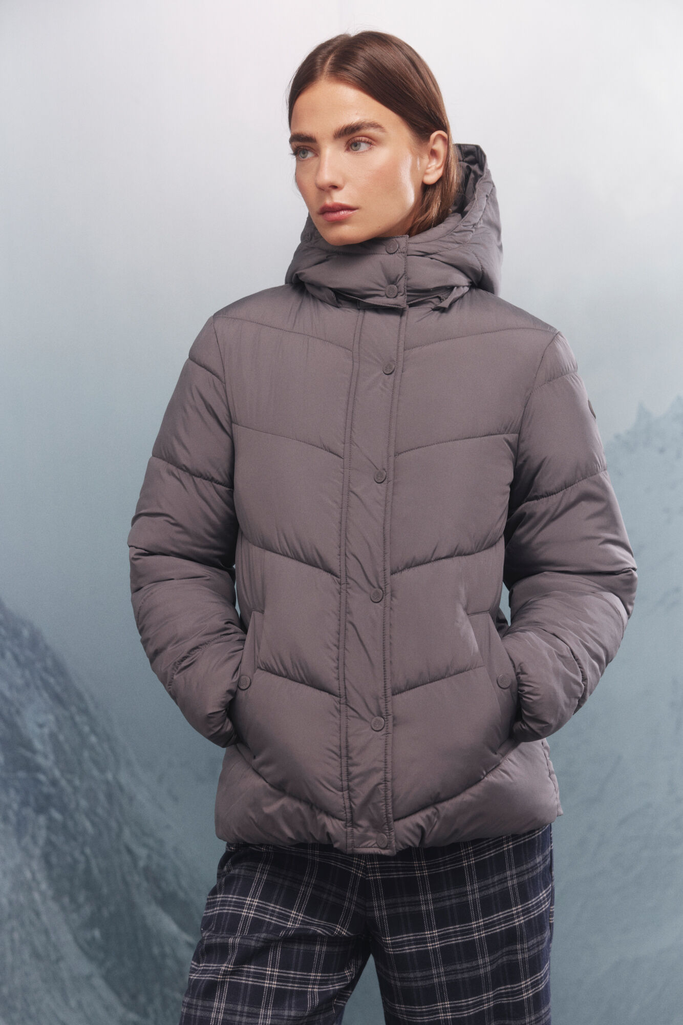 Springfield Chaqueta acolchada Sorona Aura