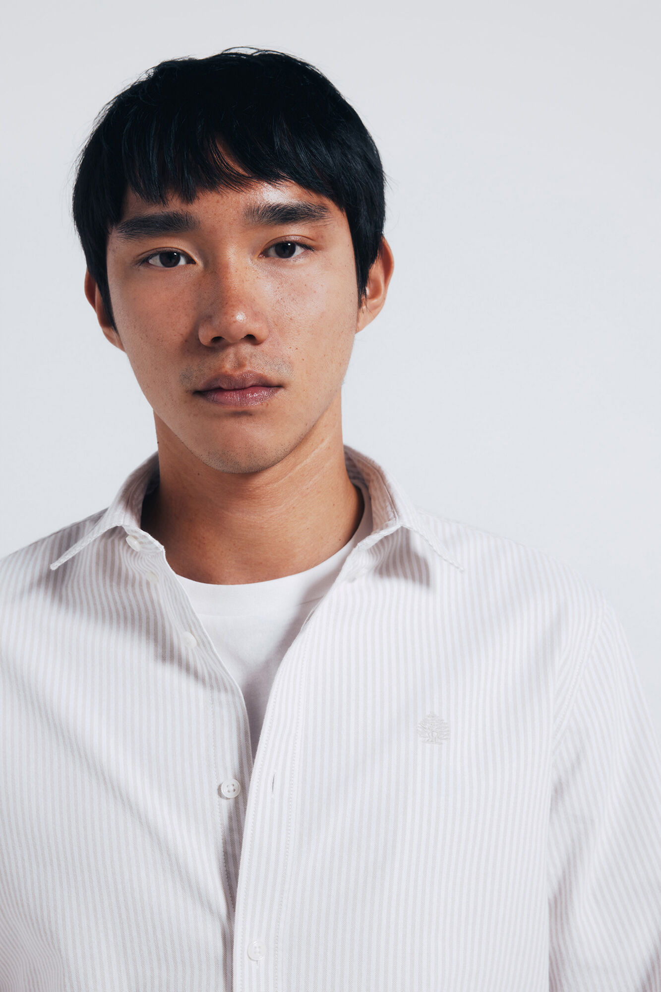 Springfield Camisa oxford rayas