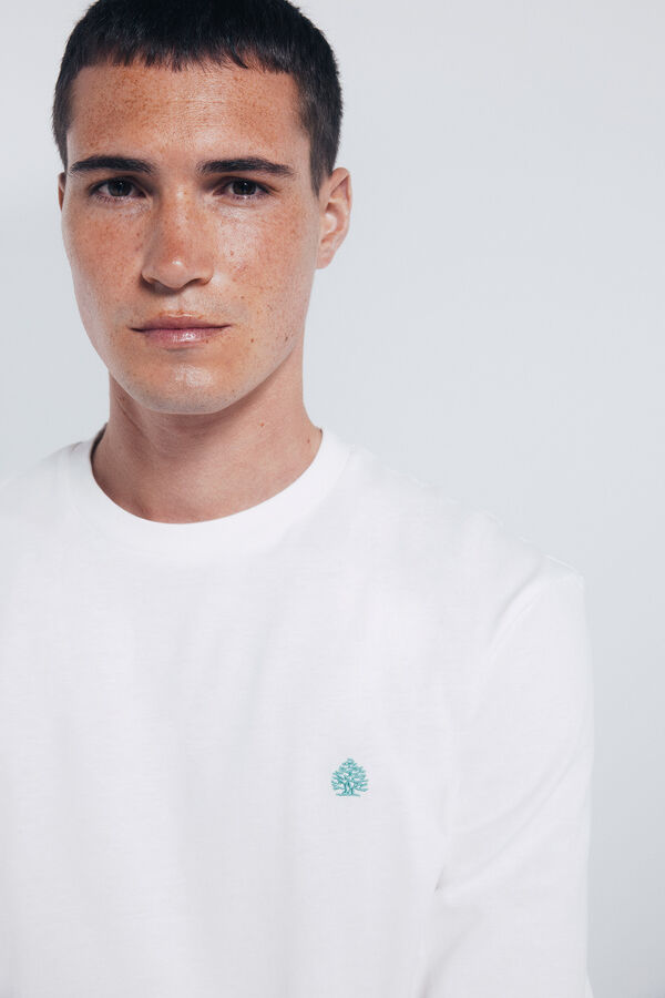 Springfield T-shirt básica de manga comprida com acabamento macio bege