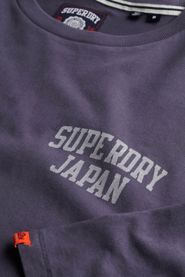 Superdry T-shirt decote redondo cinzento