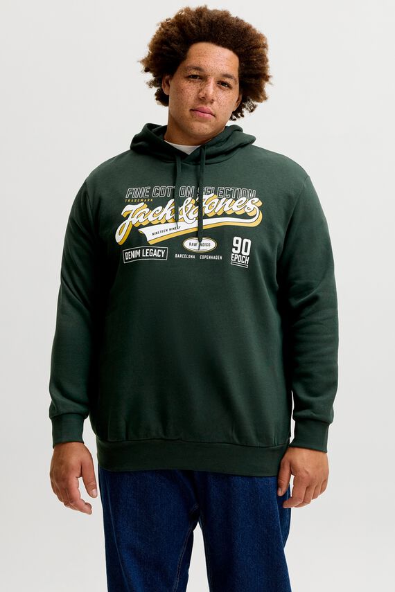 Sudadera regular con capucha