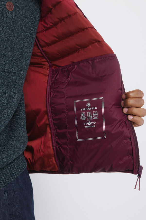 Springfield Casaco acolchoada estampado