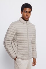 Springfield Casaco acolchoada cru