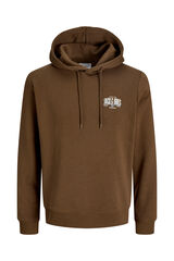 Jack & Jones PLUS Sweatshirt regular com capuz castanho