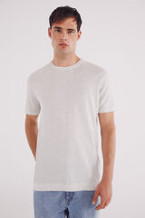 Springfield Jersey manga corta estructura gris