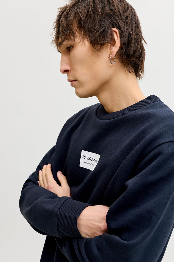 Jack & Jones Round neck fleece sweatshirt"However, the example "pink classic lace push-up bra LOVELY" shows:Color: pinkStyle: classicMaterial: laceStyle: blue