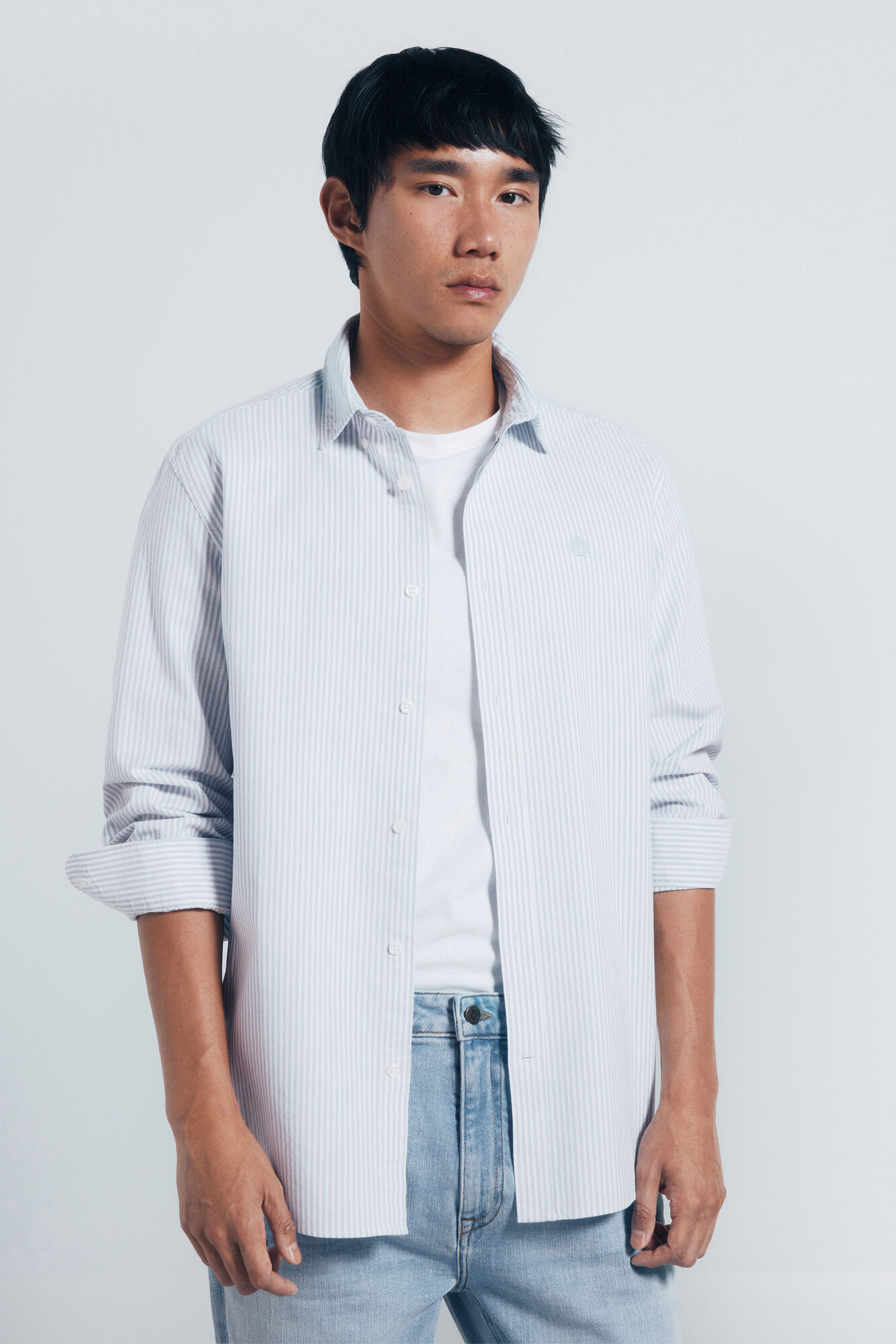 Springfield Camisa oxford rayas