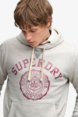 Superdry Sweatshirt com capuz e estampado gr&aacute;fico cinzento