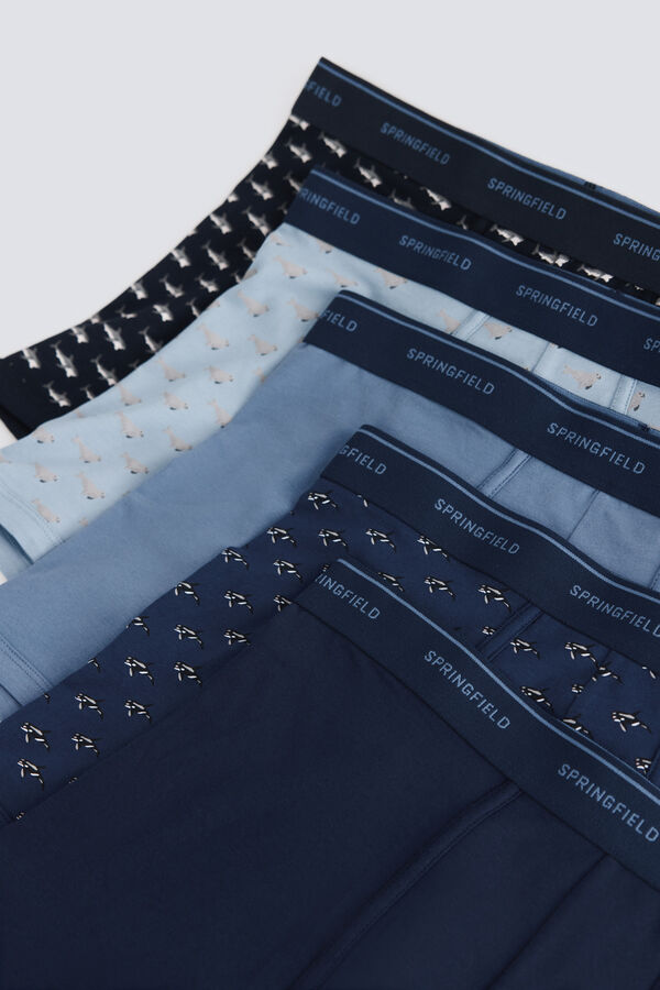 Springfield Pack 5 boxers animais marinhos azul