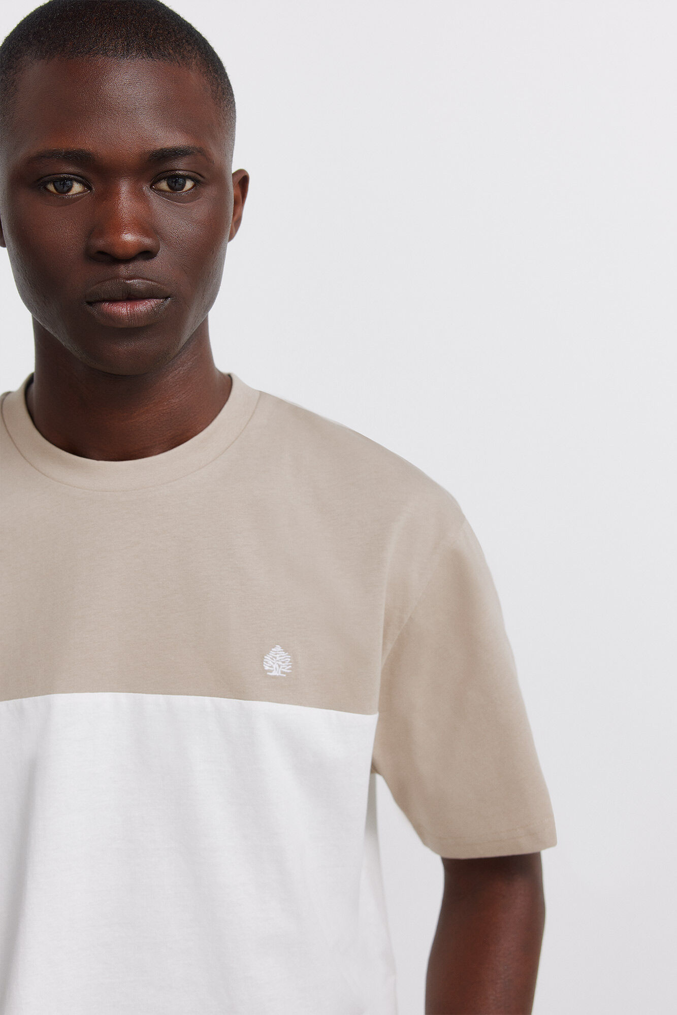 Springfield T-shirt bloco de cor