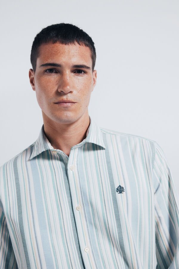 Springfield Camisa oxford riscas verde