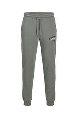 Jack & Jones Calça esportivas casuais cinzento