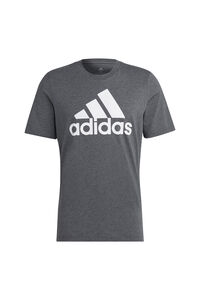 Springfield T-Shirt com logótipo cinza