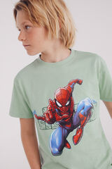 Springfield Kids T-shirt Spiderman menino verde