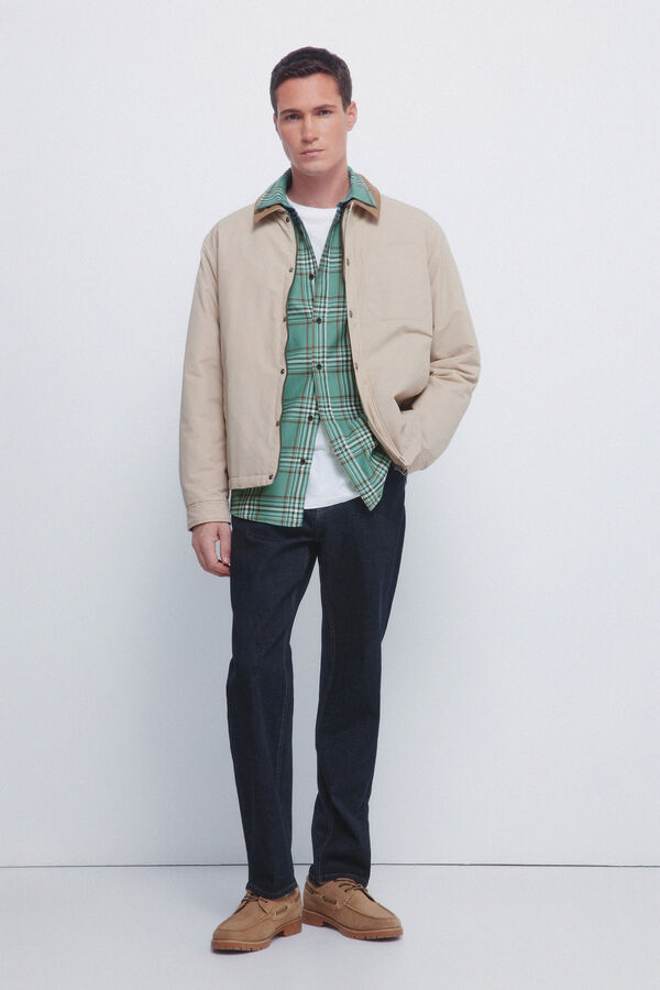 Springfield Camisa xadrez verde