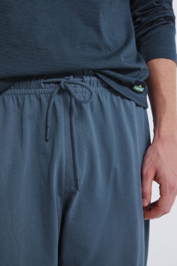 Springfield Pijama longo do Cookie Monster azul