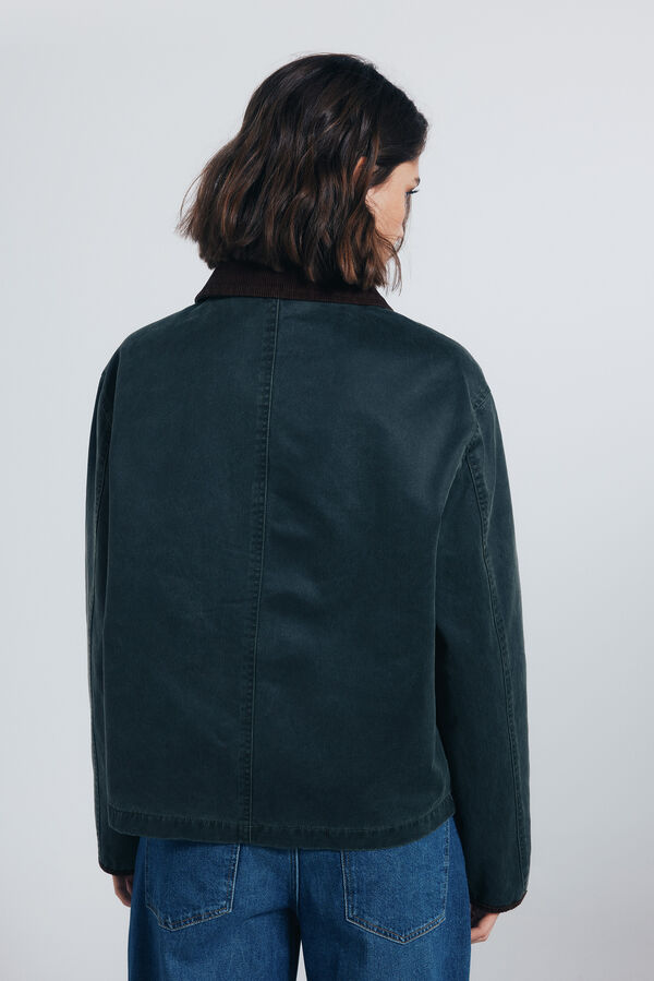 Springfield Casaco curto encerado Caqui escuro